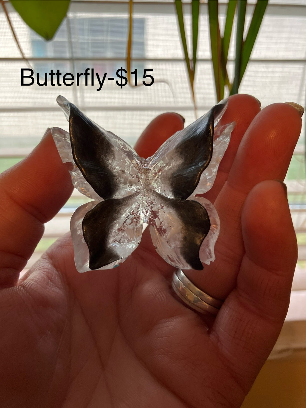 Butterfly magic