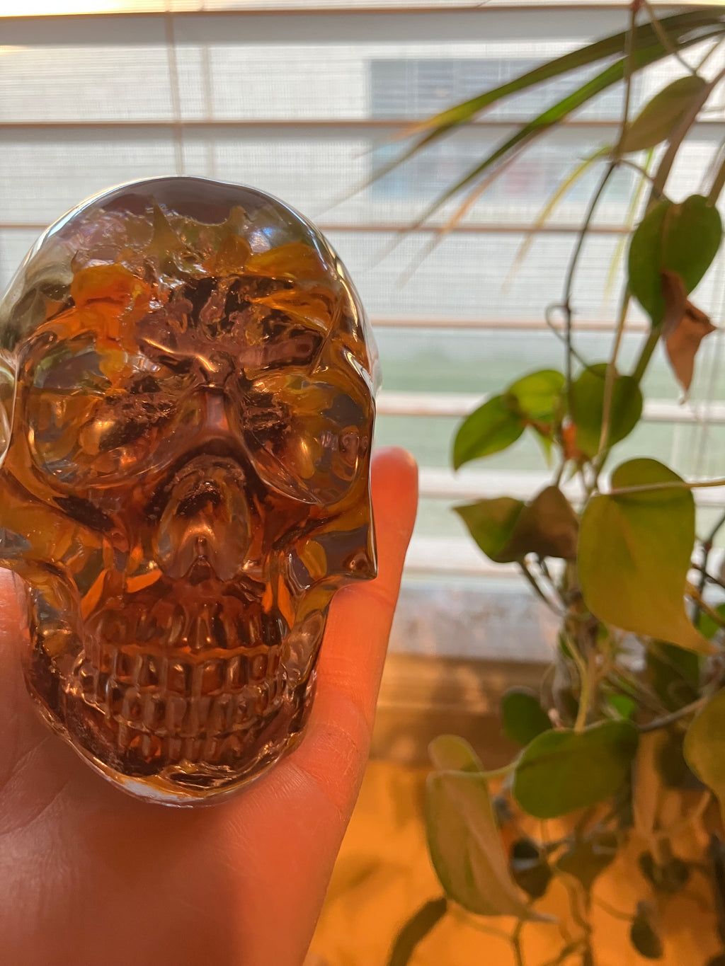 Custom skulls