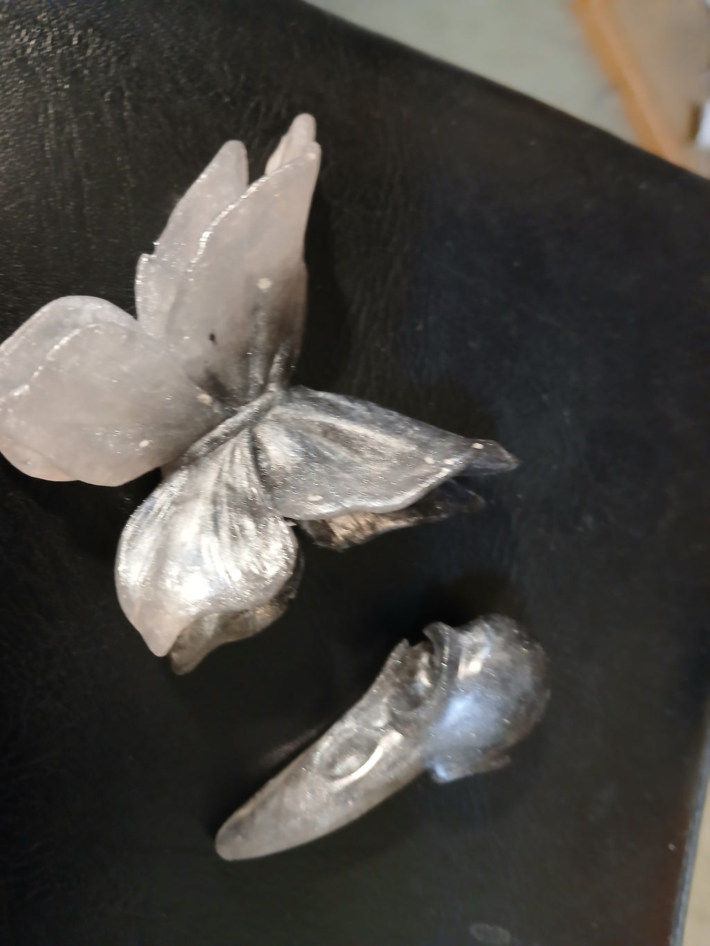 Butterfly and raven skull magnets