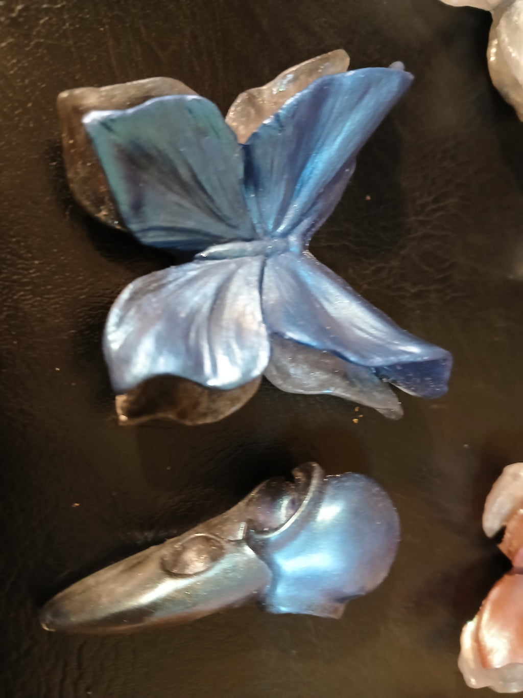 Butterfly and raven skull magnets